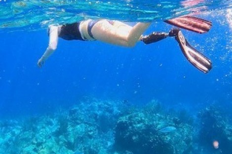 Review img # 13 of the yacht DRAGONFLY