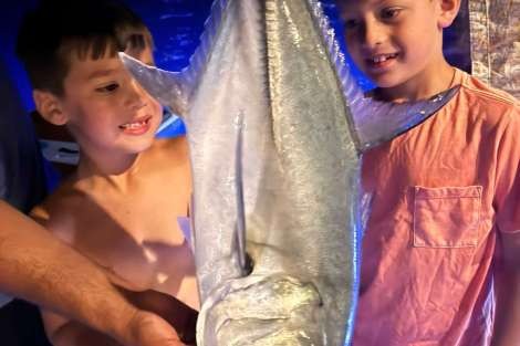 Review img # 20 of the yacht LA SIRENA